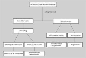 Representation of a clinical practice algorithm. Adapted from Forrest et al, 2001; Gruchalla and Pirmohamed, 2006.