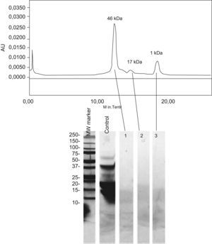 Gel filtration profile of Damira 2000® (Bio-Silect SEC 125-5, Bio-Rad. CA, USA) and SDS-PAGE analysis of eluted fractions; 1, 2 and 3 correspond to the SDS-PAGE results of 46, 17 and 1kDa eluted fractions, respectively.