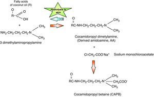 Synthesis of cocamidopropyl betaine (CAPB).