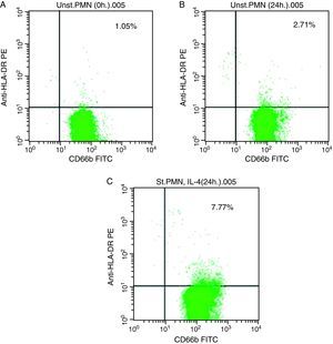 Direct flow cytometry of the HLA class II induction in whole blood PMN. (A) Unstimulated PMN (0h). (B) Unstimulated PMN (24h). (C) Stimulated PMN with IL-4 (24h).
