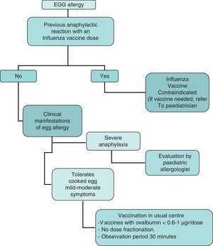 Influenza vaccination protocol in egg allergy children.