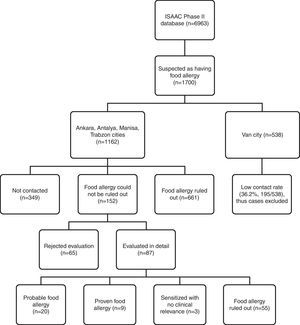 Flowchart of prospective evaluation for food allergy of ISAAC Phase II study population.