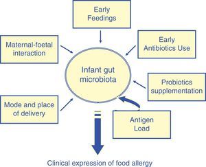 Complex interplay factors, influencing on infant gut microbiota and contributing to the development of food allergy.