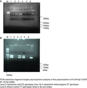 (a) Representative gel picture of the amplified product of Fc¿R Iβ gene (382bp) product. Lane M: Molecular markers (100bp ladder). (b) 50bp; Lanes 1–6, amplicons from CIU blood samples.