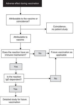 Algorithm for the identification of allergic reactions to vaccines (modified from Ref. 18).