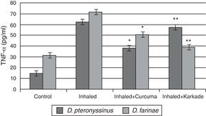 TNF-α levels in male albino rats untreated (control), inhaled with D. pteronyssinus and D. farinae mite faeces and treated with either curcuma or karkade. * shows the significance of treated rates with curcuma in comparison to the inhaled rates. ** shows the significance of treated rates with karkade in comparison to the inhaled rates.