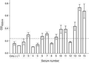 IgE recognition of profilin by individual sera from patients hypersensitive to A. palmeri pollen. ELISA assay responses for sera of 15 patients. A pool of five non-allergic subject serum was used as controls (Ctrls−). A sample was considered positive when the OD450 value was higher than the mean value obtained for skin prick test negative people plus three standard deviations. The error bars indicate the standard deviation between ELISA replicates.
