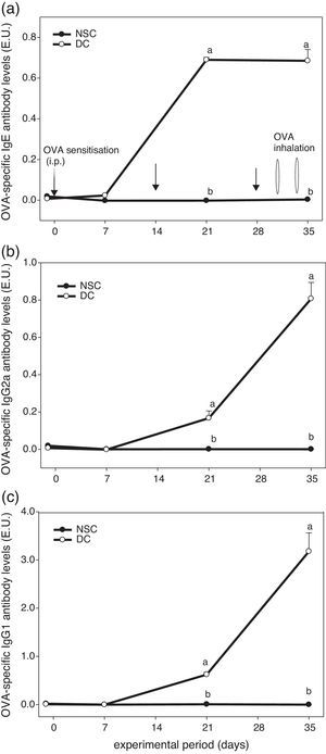 The experiment protocol and changes in serum OVA-specific IgE (a), IgG2a (b), and IgG1 (c) antibody titres of the experimental mice during 5 weeks experiment period. Mice were sensitised with OVA by intraperitoneal injection (i.p.) at Days 0, 14 and 28, followed by challenge with OVA inhalation at Days 31 and 34 after grouping. Values are means±SEM (n=13–15). Values at the same experimental point not sharing a common small letter are significantly different (P<0.05) from each other assayed using one-way ANOVA, followed by Duncan's new multiple range tests. E.U.=(Asample−Ablank)/(Apositive−Ablank); NSC, non-sensitised control; DC, dietary control. Serum dilution: 1:100 for IgE detection, 1:2000 for IgG2a detection and 1:3,000,000 for IgG1 detection. Some standard errors were too small to be depicted in the figure.