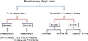 Classification of allergic rhinitis.