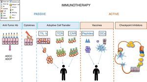 Diagram showing the methodological approaches in cancer immunotherapy.
