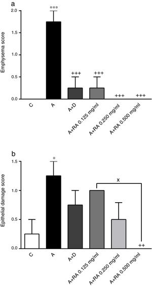 The effect of rosmarinic acid on emphysema (a) and epithelial damage scores in control animals (C), asthma group (A), asthmatic groups treated with dexamethasone (A+D), (n=6 in each group) and asthmatic groups treated with rosmarinic acid (A+RA, 0.125, 0.250 and 0.500mg/mL), (RA, n=8). Data are presented as mean ± SEM. * P<0.05 and *** P<0.001 compared to group C. ++ P<0.01 and +++ P<0.001 compared to group A. x P<0.05 comparison among the three concentrations of RA. Statistical analyses were performed using one-way analysis of variance (ANOVA) with Tukey–Kramer's post-test.
