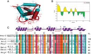 Representation of B-cell epitopes on constructed structure of polcalcin. (A) Ribbon structure of polcalcin was generated by SWISS-MODEL server and predicted B-cell epitopes were represented by blue color. (B) Bepipred linear epitope prediction of polcalcin, the highest peak region shows most potent B cell epitopes, in which the X-axis and Y-axis indicate the position and score, respectively. (C) Comparison of the amino acid sequence of A. retroflexus polcalcin (Ama r 3) with allergic polcalcins from other plants. The percentages of the identity of amino acid sequence of Ama r 3 with other members of the polcalcin family are shown at the end of each allergen amino acid sequence. Chenopodium album (Che a 3, Q84V36); Artemisia vulgaris (Art v 5, A0PJ17); Phleum pratens (Phi p 7, Y17835); Betula verrucosa (Betv4, Y12560. X87153); Olea europaea (Ole e3), and Alnus glutinosa (AIng 4, Y17713).