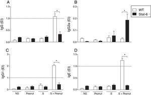 Peanut-specific Th2 antibodies are abolished in mice deficient for STAT-6. WT and Stat-6−/− animals were sensitized with the peanut protein extract (PPE) and challenged with peanut seeds for four weeks (S+Peanut group), when sera were collected for quantification of peanut-specific antibodies, as described in Material and Methods. Results were expressed as ELISA index (EI), where values of EI >1.0 (horizontal dashed line) where considered positive. In (A) IgG, (B) IgG2a, (C) IgG1 and (D) IgE. Results are representative of four independent experiments. NS, non-sensitized mice; S, animals sensitized with PPE; Peanut, mice non-sensitized with PPE but exposed to peanut seeds for four weeks. *p<0.05.