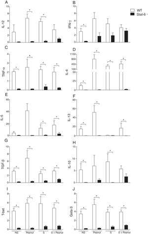 STAT-6 modulates gut cytokines and the expression of Th1/Th2 transcription factors in response to peanut exposure. (A) IL-12, (B) IFN-γ, (C) TNF-α, (D) IL-4, (E) IL-5, (F) IL-13, (G) TGF-β, (H) IL-10, (I) T-bet, (J) Gata-3 mRNA were quantified by real-time PCR in jejunum segments collected after four weeks of peanut challenge. Results of WT or Stat-6−/− mice were demonstrated as mRNA expression relative to the mRNA detection in their naive counterparts. The relative levels of gene expression were calculated by reference to the β-actin in each sample using the cycle threshold method and were expressed as arbitrary units, according to the Applied Biosystems User's Bulletin #2 (P/N 4303859). Results are representative of three independent experiments. NS, non-sensitized mice; S, animals sensitized with peanut proteins extract (PPE); Peanut, mice non-sensitized with PPE but exposed to peanut seeds for four weeks; S+Peanut, animals sensitized with PPE followed by challenged with peanut seeds for four weeks. *p<0.05.
