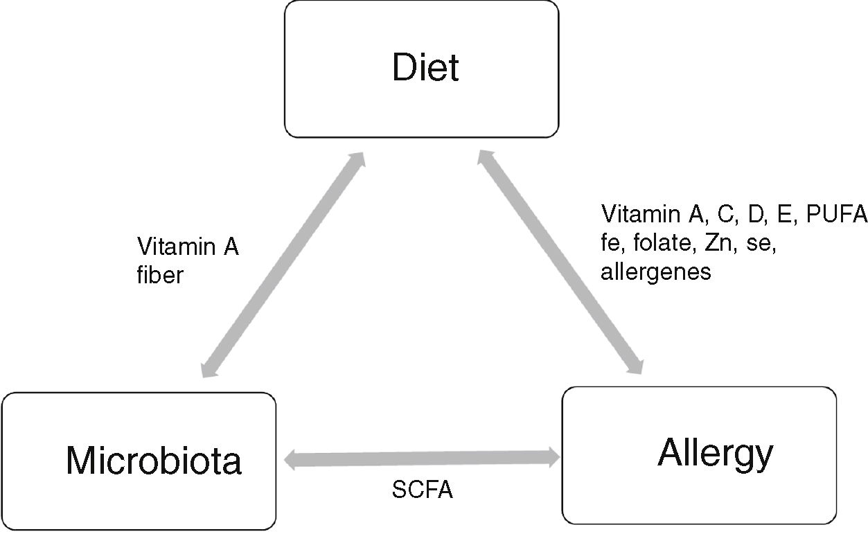 The impact of immunomodulatory factors from maternal diet during ...