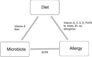 Relationship between diet, microbiota and allergy.