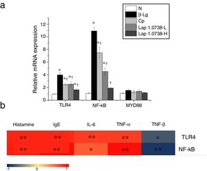 The expression of TLR4/NF-κB signaling (a) and the correlation between the TLR4/NF-κB expression and allergic symptoms (b). The correlation of the expression of TLR4/NF-κB signaling pathway in colonic tissues and the level of histamine, total IgE, IL-6, TNF-α, TGF-β in serum of allergic group compared to treatment groups. Normal group (N), β-lactoglobulin group (β-Lg), commercial probiotic group (CP), low dose of Lap KLDS 1.0738 group (Lap 1.0738-L), high dose of Lap KLDS 1.0738 group (Lap 1.0738-H). *P<0.05 versus N group. †P<0.05 versus β-Lg group. *P<0.05, **P<0.01.