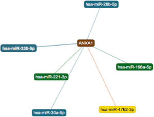 Six microRNAs that target ANXA1. The two strong interactions, including its interaction with miR-196, appear in green. The three interactions with weak support appear in blue and the one predicted interaction appear in yellow. Source: (https://ccb-web.cs.uni-saarland.de/mirtargetlink/index.php).