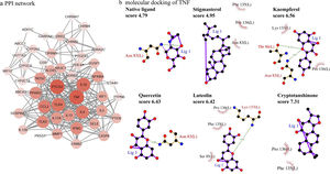 (a) PPI network of CAD related targets. The node size and color of each target were positively related to the node degree. (b) Molecular docking exercise of ingredients binding to TNF.