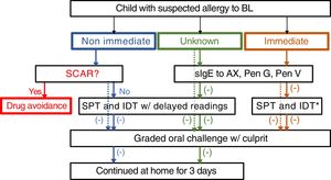 Algorithm for management suspected allergy to beta lactam antibiotics in children. In the case of positive sIgE skin test to the culprit drug, study is continued to confirm tolerance to a reasonable alternative (e.g. 3rd generation cephalosporins if allergic to aminopenicillins). Dotted lines: mild drug reaction. *Readings at 20min only. HSR: hypersensitivity reaction; BL: betalactam antibiotics; sIgE: specific IgE, AX: amoxicillin; Pen: penicilloyl; IDT: intradermal tests; SPT: skin prick tests.