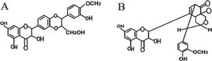 The structures of the studied silymarin isomers. Isosilybin A (A) and silydianin (B).