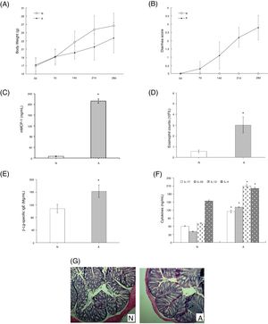 β-Lg-induced food allergy symptoms in 28 d for 1 h after challenge with β-Lg. Body weight (A) and diarrhea score (B) was measured 1 h after every challenge with β-Lg; mMCP-1 levels (C), eosinophil count in blood (D), serum immunoglobulin levels (E), serum Th17 cytokines(IL-17 and IL-23) and Th2 cytokines(IL-4 and IL-13) (F), colon H&E staining (magnification*100) (G) were measured after being sacrificed. Each value is presented as mean ± SD. N: normal group; A: allergic group. (*P < 0.05 vs. normal group).