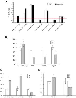 The qRT-PCR validation of seven differential expression miRNAs and eight target genes. (A): The key microRNAs which have a differential expression in colon of β-Lg-sensitized mice compared with control. (B): Target genes of miR-19a-3p. (C): Target genes of miR-365-2-5p and miR-504-5p. (D): Target genes of miR-224-5p. N: normal group; A: allergic group. (*P < 0.05 vs. normal group).