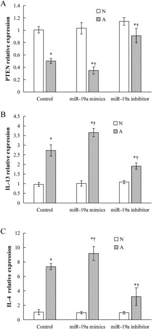 Effect of miR-19a on PTEN (A) and Th2 cytokines (B-C) mRNA in RAW264.7 cells. Each value is presented as mean ± SD. N: normal group; A: allergic group. (*P < 0.05 vs. normal group, †P < 0.05 vs. allergic control group).