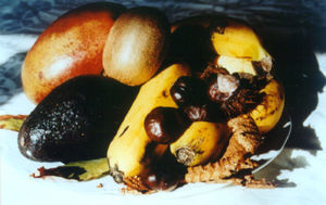 Alimentos vegetales incluidos en el síndrome de reactividad cruzada látex-frutas.