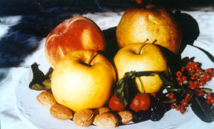 Alimentos vegetales incluidos en el síndrome de reactividad cruzada pólenes-frutas.