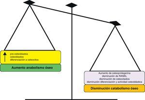Mecanismo de acción simplificado de RE sobre el metabolismo óseo.