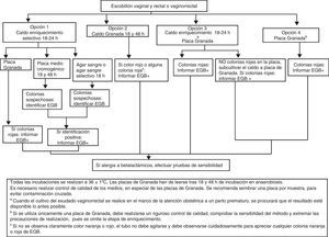 Pruebas de microbiología para cribado del estreptococo grupo B en la embarazadaa.