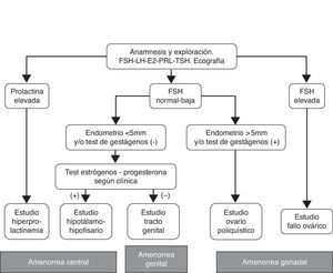 Algoritmo diagnóstico. Grupo de Interés Endocrinología Reproductiva (SEF 2010).
