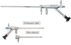 Sistema Truclear System®. Disponible en: http://www.sntruclear.com.
