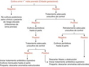 Algoritmo diagnóstico-terapéutico.