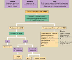 Algoritmo diagnóstico ante la sospecha de agudización de la enfermedad pulmonar obstructiva crónica (EPOC). BNP: péptido natriurético atrial; CI: cardiopatía isquémica; ECG: electrocardiograma; IC: insuficiencia cardíaca ; TC: tomografía computarizada; TEP: tromboembolismo pulmonar. Algoritmo diagnóstico ante la sospecha de agudización de la enfermedad pulmonar obstructiva crónica (EPOC). BNP: péptido natriurético atrial; CI: cardiopatía isquémica; ECG: electrocardiograma; IC: insuficiencia cardíaca ; TC: tomografía computarizada; TEP: tromboembolismo pulmonar.