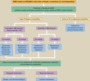 Tratamiento del asma grave no controlada según el fenotipo inflamatorio. AGNC: asma grave no controlada; GCI: glucocorticoides inhalados; LABA: agonista beta-2 de larga duración (long-acting beta-2 agonist). Modificada de Guía GEMA 5.11. Tratamiento del asma grave no controlada según el fenotipo inflamatorio. AGNC: asma grave no controlada; GCI: glucocorticoides inhalados; LABA: agonista beta-2 de larga duración (long-acting beta-2 agonist). Modificada de Guía GEMA 5.11.