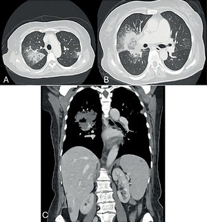 Fig. 6