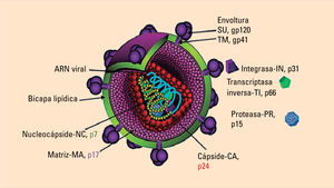 Fig. 3