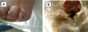 Fig. 9