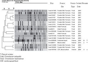 XbaI Pulsed-field gel electrophoresis (PFGE) dendrogram showing the genetic relationship of the clinical isolates and a selection of isolates recovered from imported powdered infant formula and infant formula of Cronobacter sakazakii and Cronobacter malonaticus.