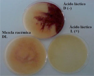 Diferentes isómeros del ácido láctico producidos por bacterias lácticas aisladas de masas de maíz artesanalmente fermentadas en Colombia.