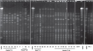 Pulse-field gel electrophoresis profiles of 25 erythromycin-resistant isolates and representative strains of international disseminated clones. Λ ladder, molecular size marker; R1, England14-9; R2, Poland6B-20; R3, Spain9V-3; R4, Sweden15A-25; R5, reference strain R6.