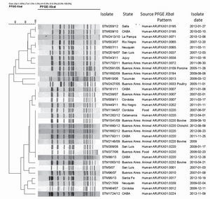 Selected XbaI enzyme-PFGE patterns from the PulseNet Argentine National database of Salmonella PFGE patterns including the chinchilla isolates.