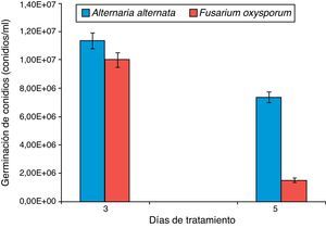 Germinación de conidios de Alternaria alternata y Fusarium oxysporum a los 3 y 5 días después del tratamiento con los carotenoides extraídos de chiltepín.