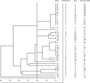 Dendrogram of similarity among the observed PFGE patterns of SmaI digested DNAs from Streptococcus uberis isolates.