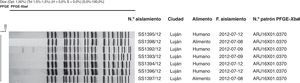 Dendrograma de relación genética correspondiente a los aislamientos de Shigella sonnei de origen humano y alimento corridos con XbaI.