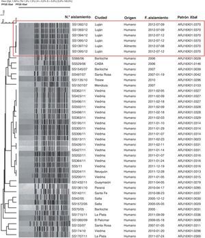 Dendrograma de relación genética de aislamientos de Shigella sonnei recuperados en diferentes provincias de Argentina, 2002-2012. PFGE con XbaI. Aislamientos de S. sonnei de Luján en la BDR.