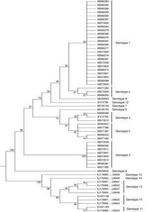 Molecular phylogenetic tree of T. asahii strains based on confidently aligned IGS1 sequences, including those from reference strains and the novel genotype strains found in Brazil. The code numbers correspond to the GenBank accession numbers. The values were obtained using maximum parsimony cluster analysis and 1000 bootstrap simulations.