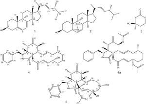 Compounds isolated from Aspergillus sp. EJC 04.